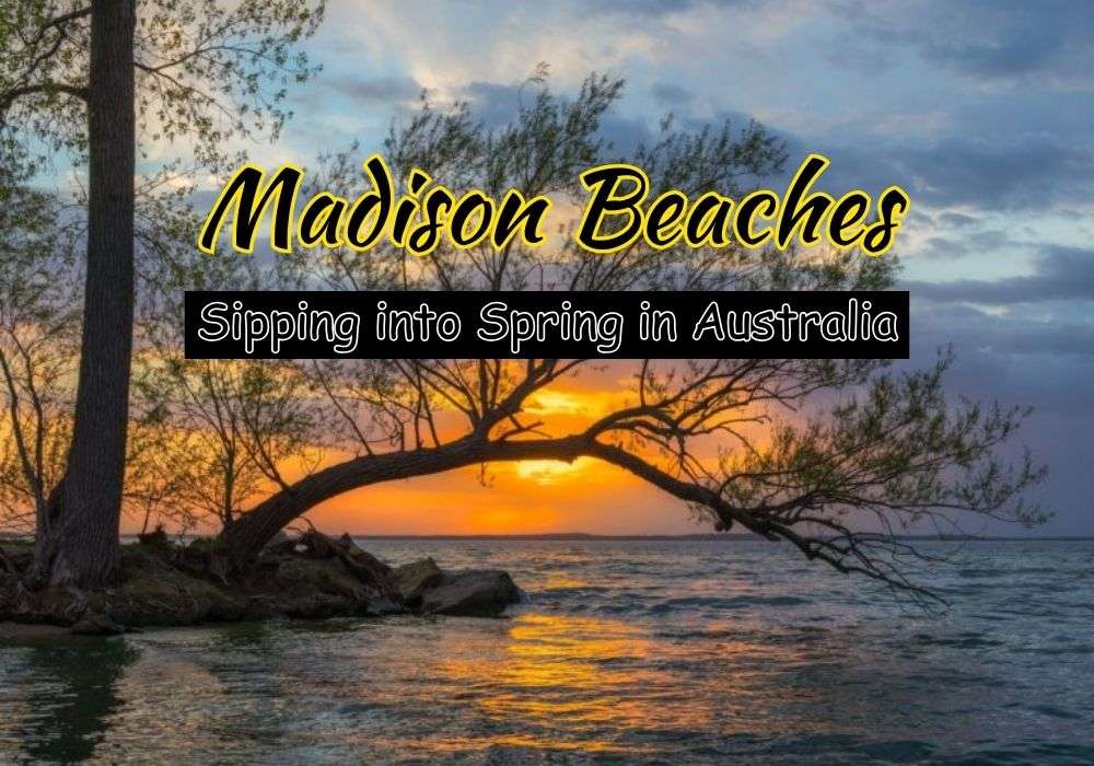 10 Best Beaches In Madison